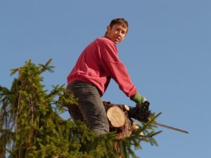 Topping a Tree