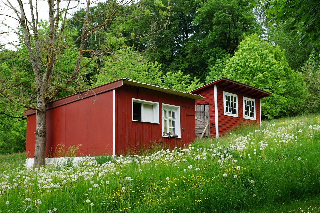 tinyhouse